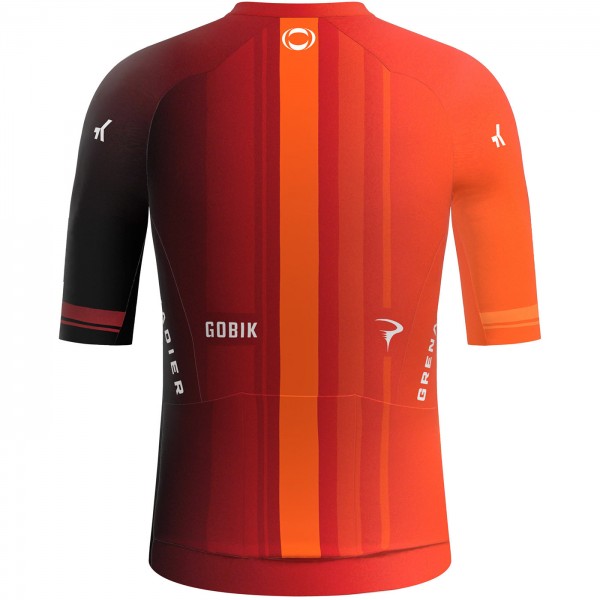 Bekleidung Herren Gobik Ineos Grenadiers 2024 Reactive trikot