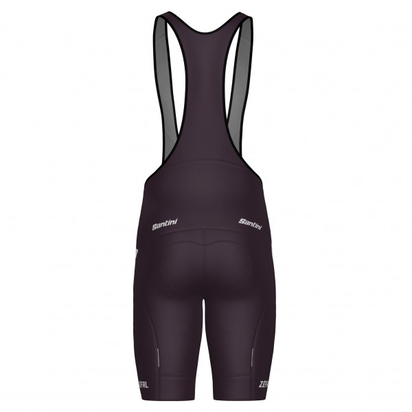 Bekleidung Herren Team Lapierre 2025 Santini tragerhose-Bordeaux