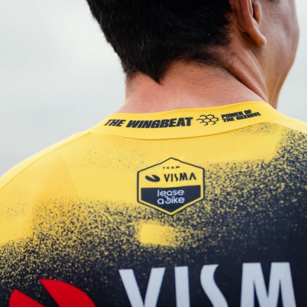 Bekleidung Herren Team Visma Lease a bike 2025 The Wingbeat trikot