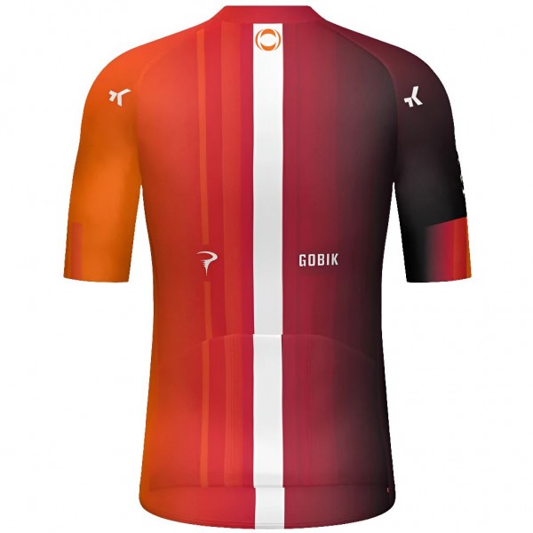 Bekleidung Herren Gobik Ineos Grenadiers 2025 Odyssey trikot